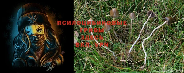бутират Богданович
