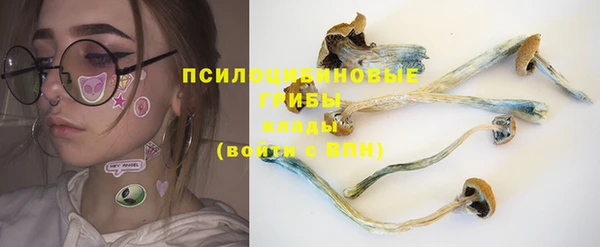 apvp Богородицк