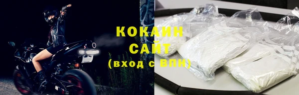 apvp Богородицк