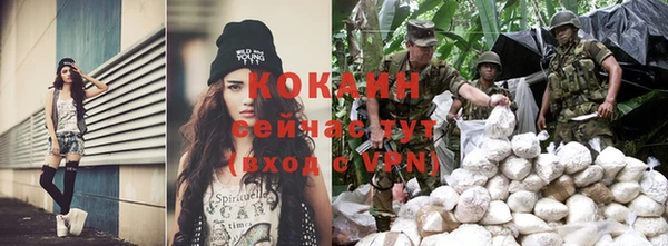apvp Богородицк