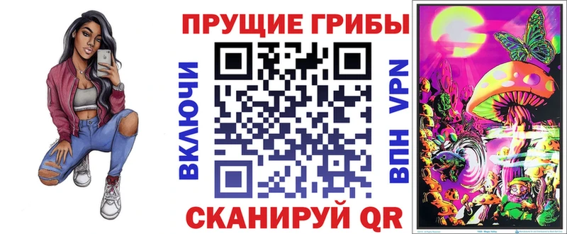 купить наркотики сайты Кола mega ссылки Галлюциногенные грибы Psilocybe