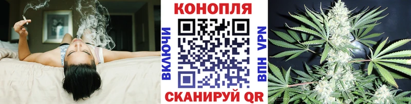 Каннабис сатива где найти наркотики Кола